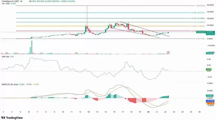 什么是ChainOpera AI (COAI)币？ChainOpera AI (COAI) 全景解析