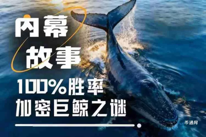 市场是否存在“信息镰刀”？起底100%胜率巨鲸与特朗普派系的内幕关联