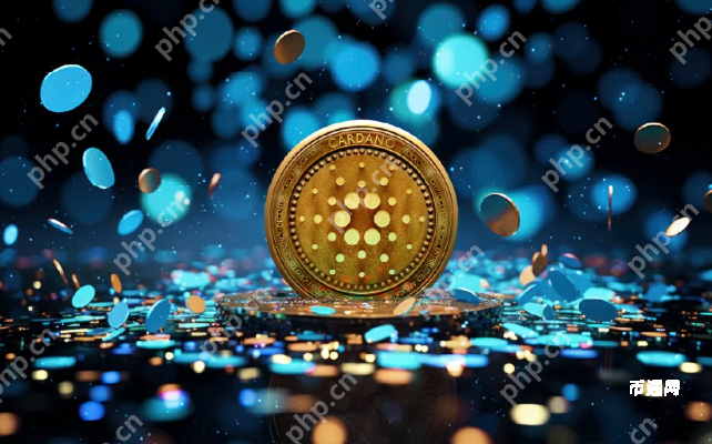 2025年卡尔达诺(ADA)币购买指南：2025年艾达币交易全教程攻略